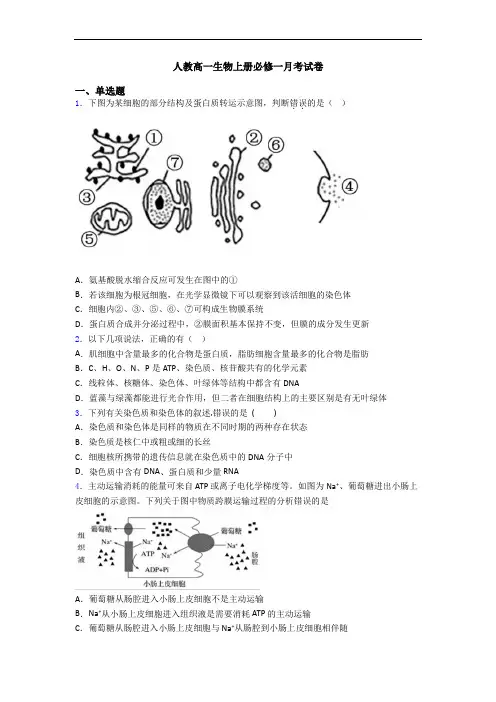人教高一生物上册必修一月考试卷 2
