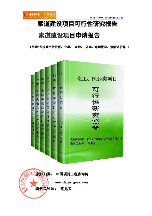 索道建设项目可行性研究报告(-模板案例)