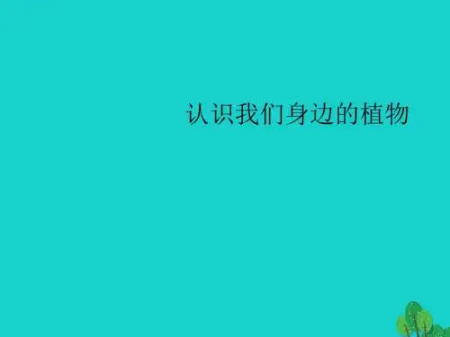 七年级生物上册1.1认识我们身边的植物和动物课件北京课改版