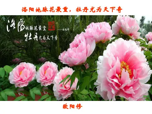 洛阳牡丹记 作者 翻译 字词