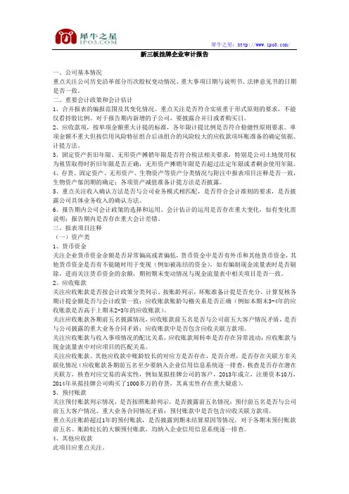 新三板挂牌企业审计报告