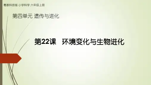 粤教版小学科学六年级上册第22课《环境变化与生物进化》教学课件