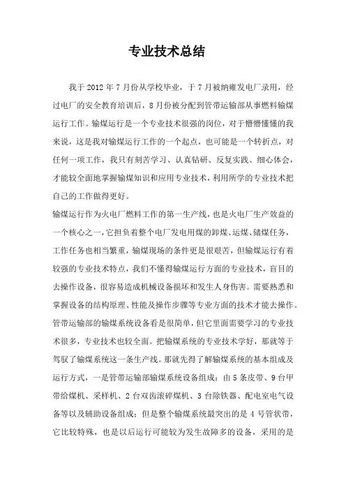 输煤专业技术工作总结 2