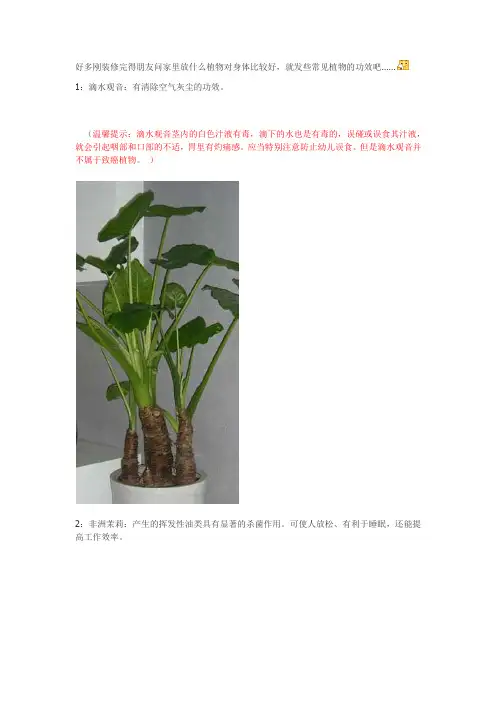 18种常见室内植物的功效