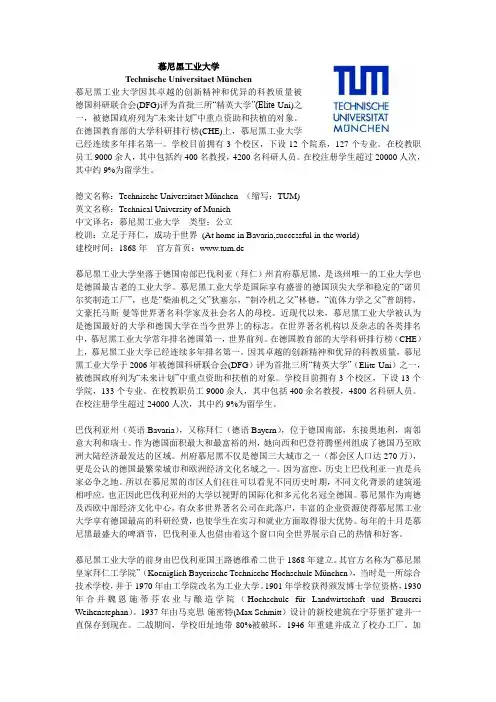 慕尼黑工业大学 2