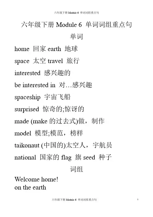 最新外研社新标准六年级下册课文Module06单词词组重点句