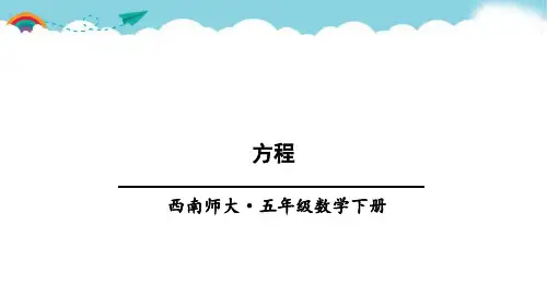 西师版五下数学方程总复习