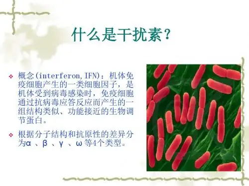 干扰素制备的工艺流程