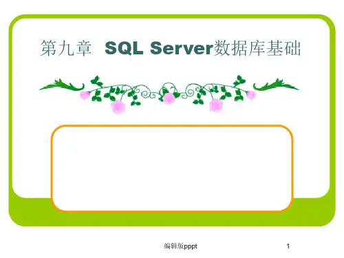 第九章__SQL_Server数据库基础PPT课件