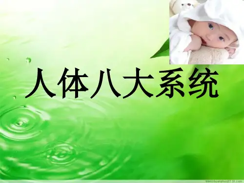 人体八大系统