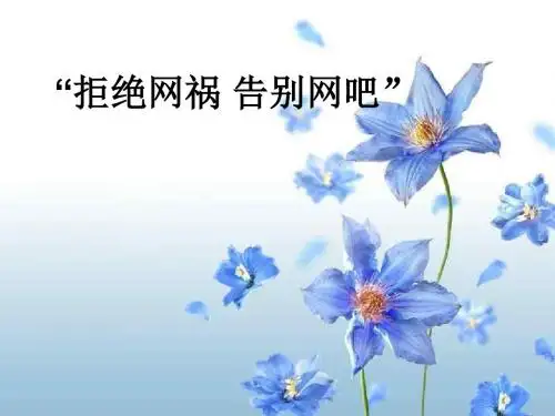 中学生《拒绝网祸告别网吧》防止网络危害主题班会课PPT多媒体课件