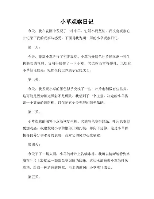 小草观察日记