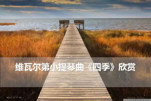 维瓦尔第小提琴曲《四季》