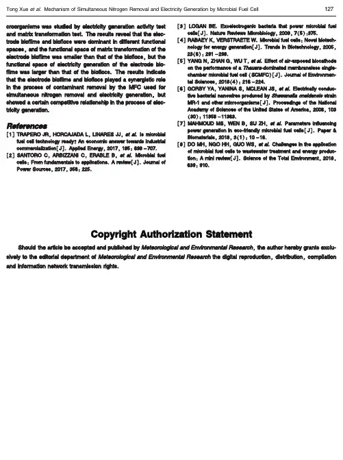 Copyright Authorization Statement