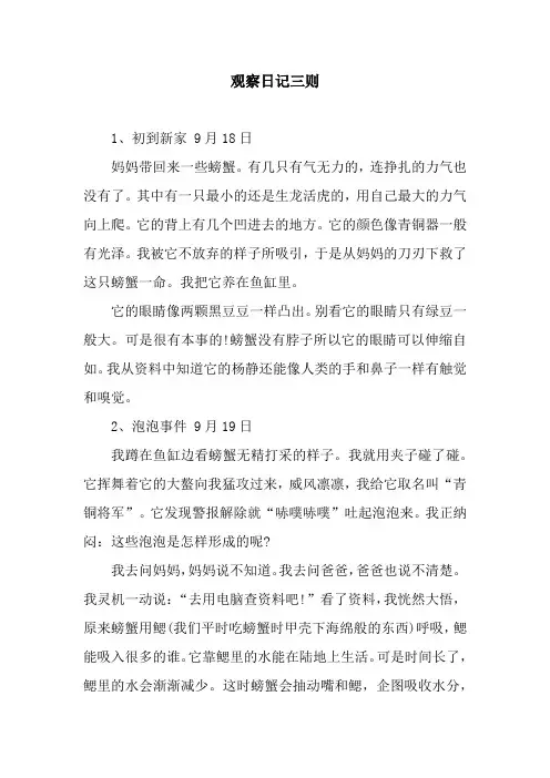 观察日记三则