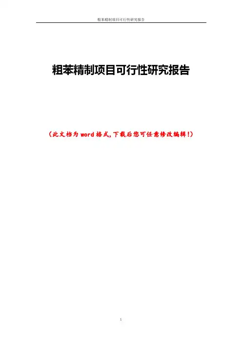 粗苯精制项目可行性研究报告