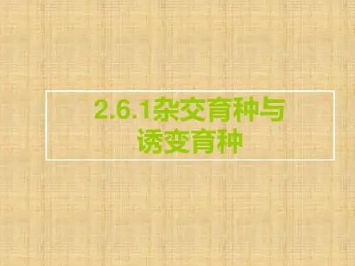 福建省寿宁县高中生物 第六章 从杂交育种到基因工程 6.1 杂交育种与诱变育种名师课件 新人教版必修2