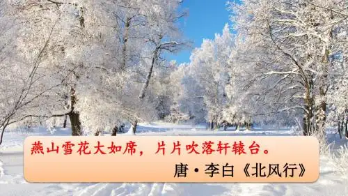 1 沁园春·雪