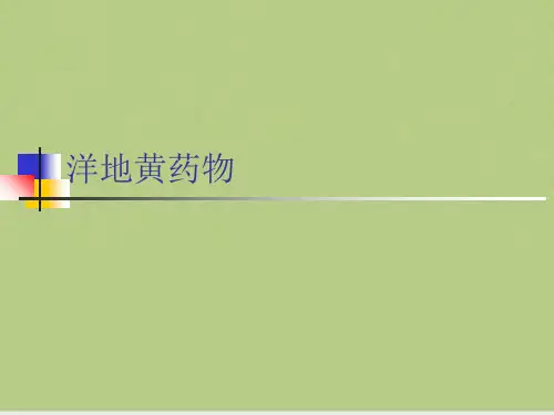 洋地黄药物