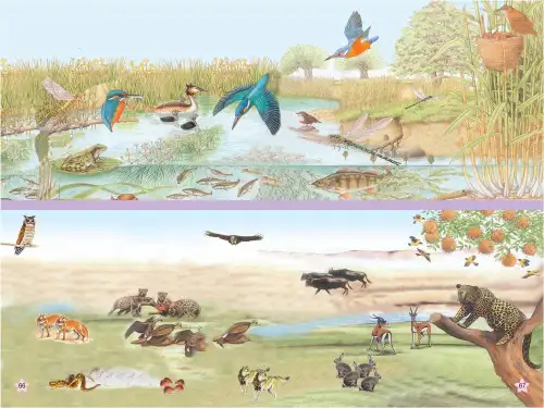 四年级下科学优秀课件-19 密切联系的生物界  ｜青岛版(五四制)  (1) (20页PPT)