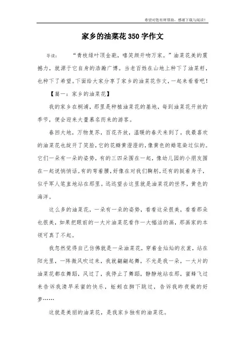 家乡的油菜花350字作文