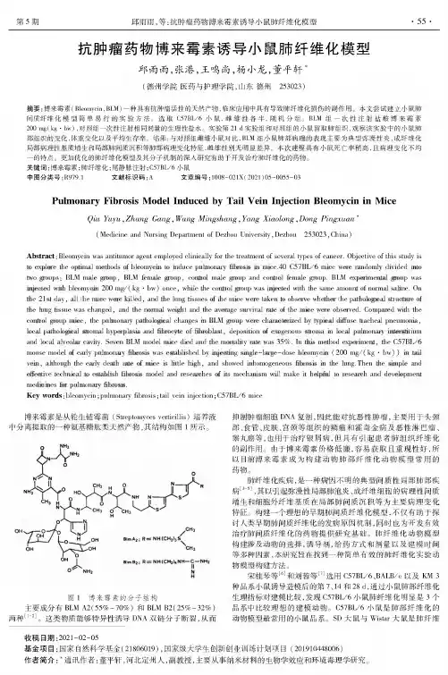 抗肿瘤药物博来霉素诱导小鼠肺纤维化模型