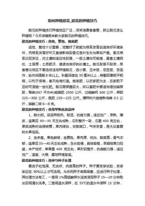 如何种植甜瓜_甜瓜的种植技巧