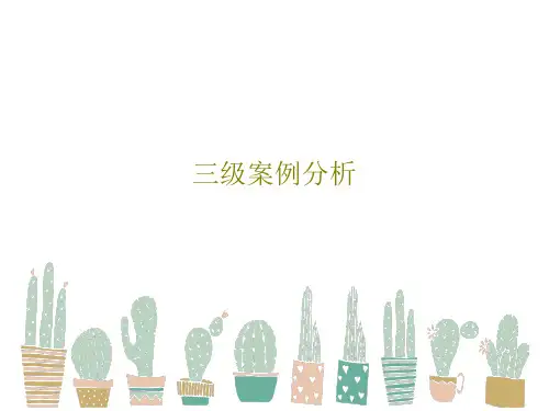 三级案例分析PPT43页
