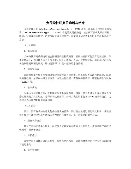 犬传染性肝炎的诊断与治疗 2