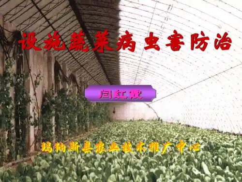 设施蔬菜病虫害