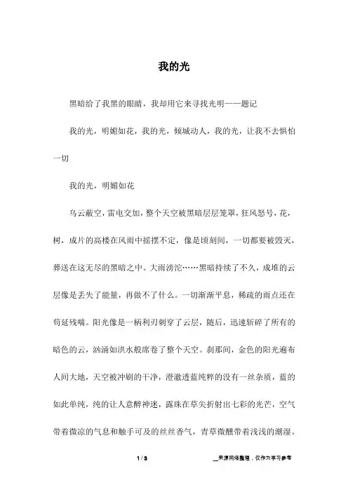 我的光_高中作文