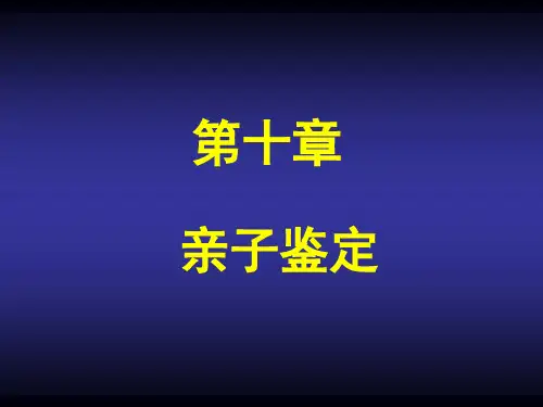 亲子鉴定.ppt