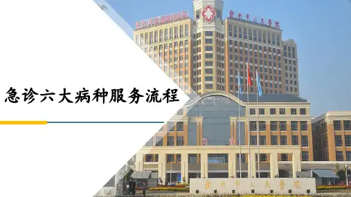 急诊六大病种服务流程  ppt课件