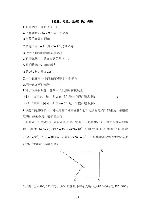 人教版七年级数学下册名校课堂同步提升训练：命题、定理、证明
