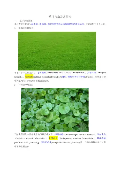 草坪害虫