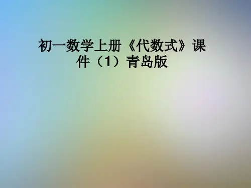 初一数学上册《代数式》课件(1)青岛版
