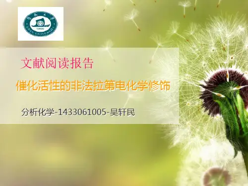 非法拉第过程