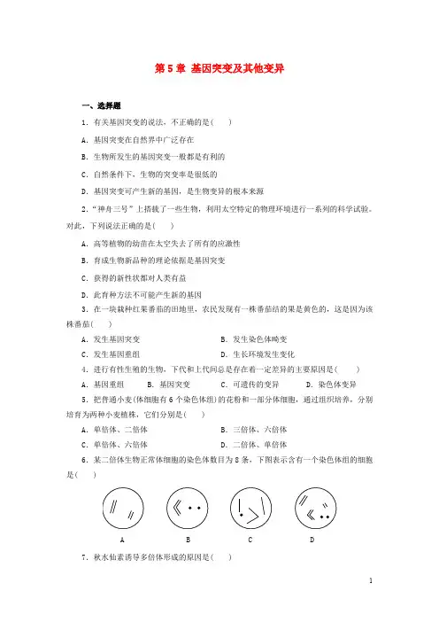 高中生物 第五章 基因突变及其他变异精练检测题(含解析)新人教版必修2