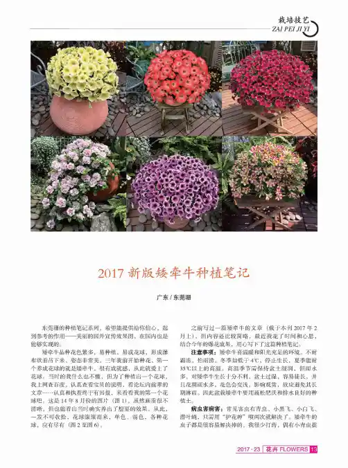 2017新版矮牵牛种植笔记