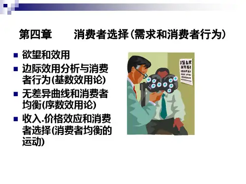 第四章消费者选择教材