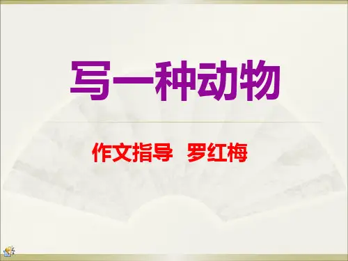 动物写作课件