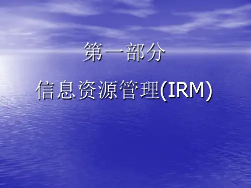 信息资源管理(IRM2011)