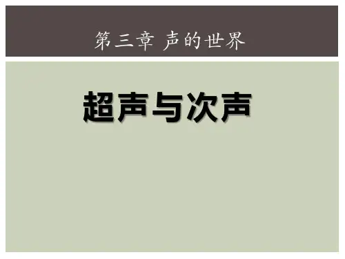 《超声与次声》声的世界PPT课件2