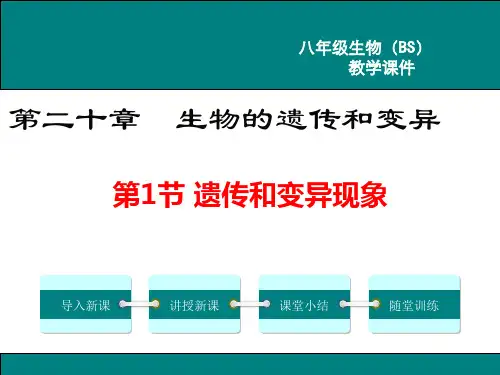 北师大版八年级生物上册第20章 生物的遗传和变异 课件PPT