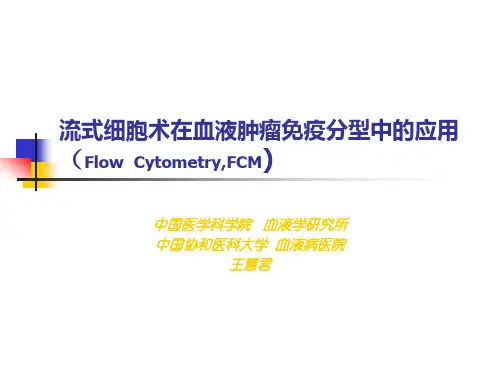 血液肿瘤流式免疫分型