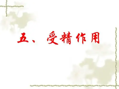 2.1 减数分裂与受精作用第五课时
