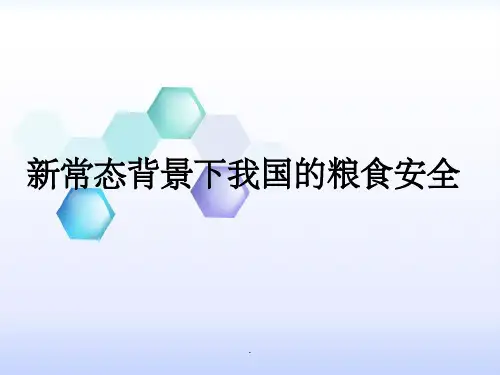 粮食安全1ppt课件