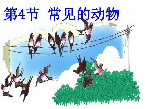 浙教版七年级科学上册2.4常见的动物(1)