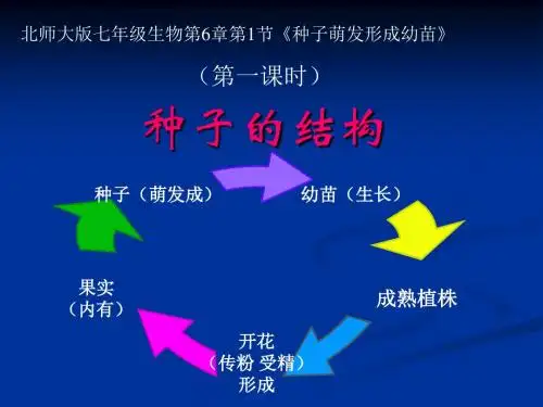 生物：6.1《种子萌发形成幼苗》课件(北师大版七年级上)