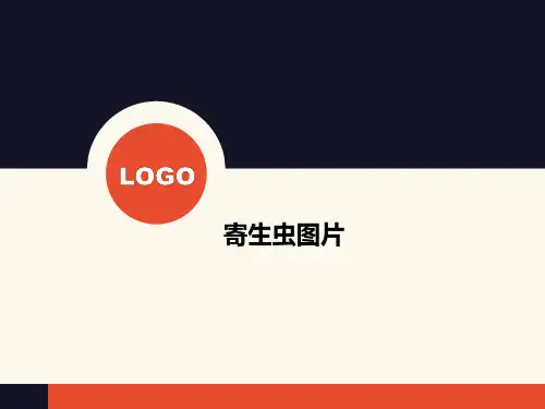 寄生虫图片